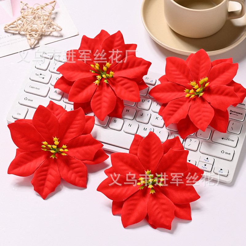 --6 diameter 11 cm