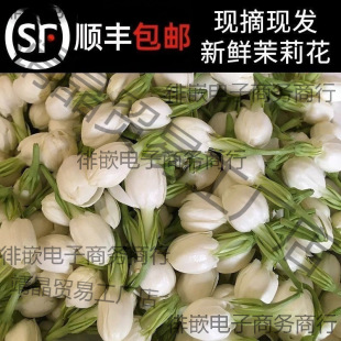 �V�� ���r���� �����r�� �����ִ��֭h ���r���� �[���r��