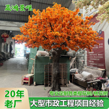 ���Ʒ���ѻ����c�҃ȼ٘�����b������һ���W�t�S�