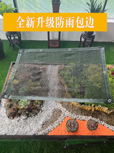 2P80��ɫ��ꖾW�X��55����W4ᘷ���W���⻨���m��ֲ���ͥ�@ˇ