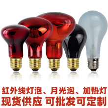 ӟt⾀ݺSR63 30W40W60W R80 100W R95 150W