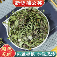 整株新货蒲公英中药材干蒲公英根茶搭玉米须夏枯草泡水