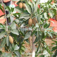 �޽����Ĺ��������S���������ͥԺ�����Ϸ������Nֲ����������