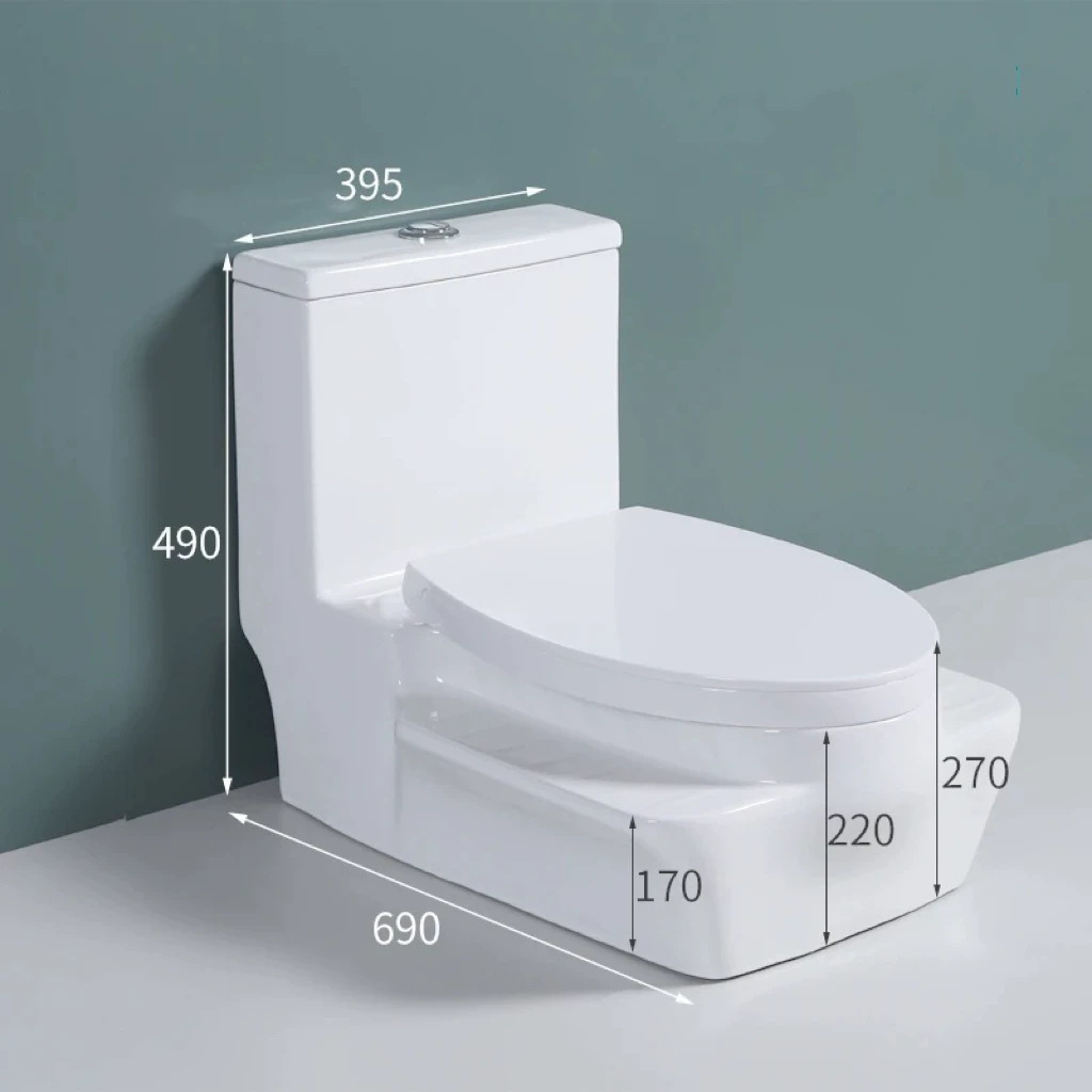Nuevo inodoro de doble propósito para sentarse en cuclillas y sentarse integrado inodoro de doble propósito para sentarse en cuclillas y sentarse en cuclillas para cambiar el inodoro de sentarse sin cavar hoyos image 10