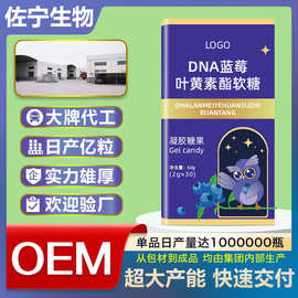 网红DHA蓝莓叶黄素酯软糖代加工蓝莓叶黄素凝胶糖果OEM贴牌定制