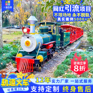 Outdoor net red scenic spot sightseeing track small train amusement equipment electric steam rail train can sit people manufacturers