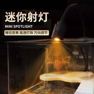 in stock fish tank LED lights landscaping small spotlights aquarium water grass clip lights ornamental fish downlights adjustable focus spotlights wholesale