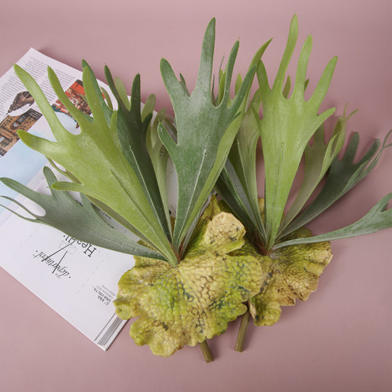 Antler leaf simulation green plant landscape with cactus green leaf false leaf false tree garden decoration