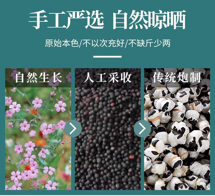 Wang Bu Liu Xing Zi (Vaccaria segetalis) — Dried Seed for Lactation Tea & TCM Use, 500g key features