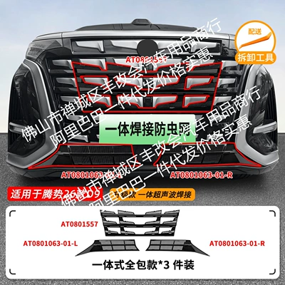 Net Front Grille Special — Automobile anti-insect net - 26-models-of-denza-d9-upper-and-lower-insect-proof-nets-one-piece-welded-and-painted-black