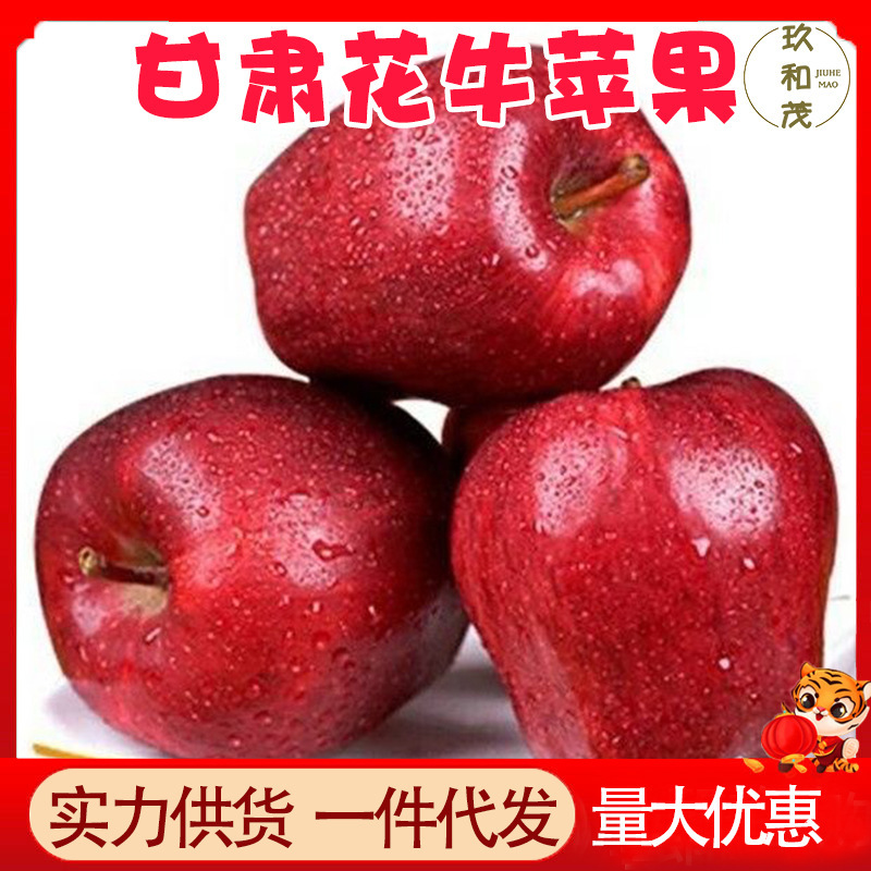 Authentic Gansu Huayou apples 4.5kg whole box of fresh fruit 10 wholesale with free shipping 5 baby-sized seasonal Tianshui apples Authentic Gansu Huayou apples 4.5kg whole box of fresh fruit 10 wholesale with free shipping 5 baby-sized seasonal Tianshui apples