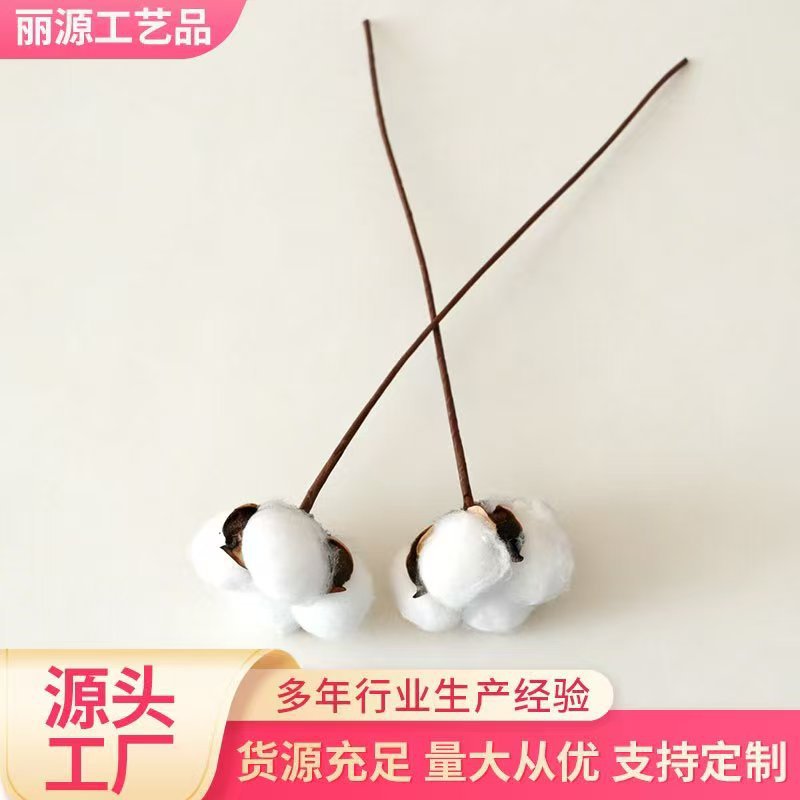 单支棉花28cm30cm35cm棉花花束家居摆件插花用仿真工艺花