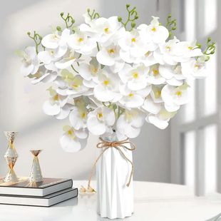 �����ɫ7�^�ָк����m�Ҿӻ�c�b�Y�Æ��w�[�żٻ��羳���l