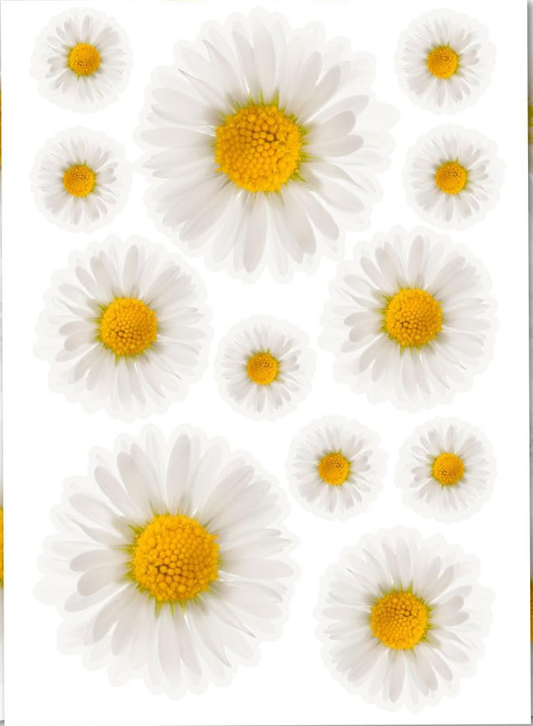 Nuevos pegatinas de flores de Amazon anti-UV trébol crisântemo pegatinas de automóviles pegatinas impermeables para bicicletas