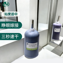 �޽ӽ�ë��ˮ������Ӧ �Լ����ۼ޽�������ֲ�ٽ�ë����������
