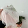 大码女士女生少女内裤