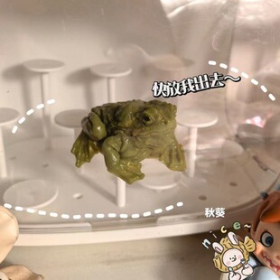 ����]������󘷄����ه�����������≺��ߐ������M�p������