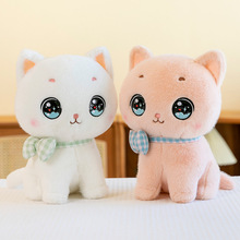 可爱乖乖猫公仔毛绒玩具大眼猫咪玩偶抓机布娃娃抱枕儿童节礼物女