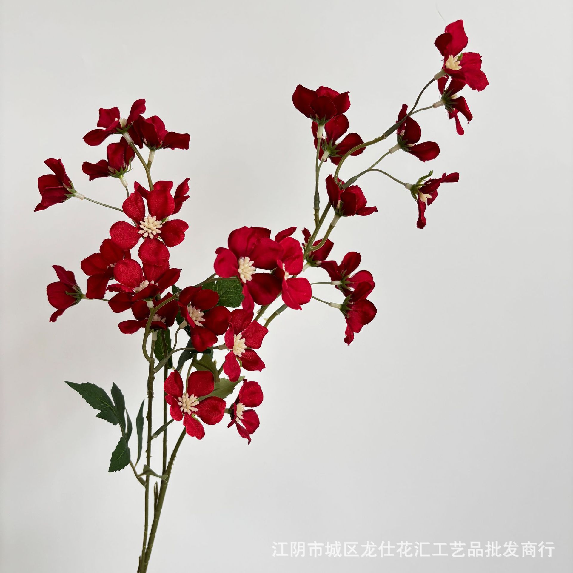 세 갈래의 장미