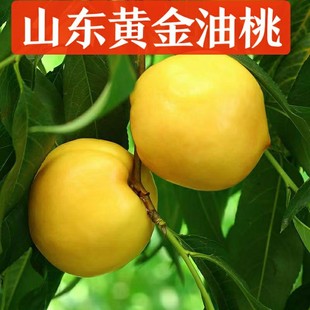 �S���������rˮ�������S����4.5�ﮔ���r��������������һ�����l