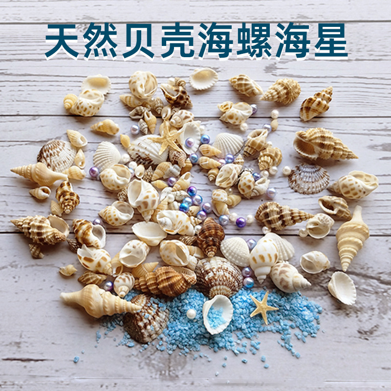 Natural Shell Conch Starfish Ocean Candle Aromatherapy Wax Flakes Making Material Kit Crystal Wax Conch Candle Materials Natural Shell Conch Starfish Ocean Candle Aromatherapy Wax Flakes Making Material Kit Crystal Wax Conch Candle Materials