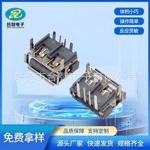 2.0ĸUSB USBBAF 90ʽǰ_zDIP