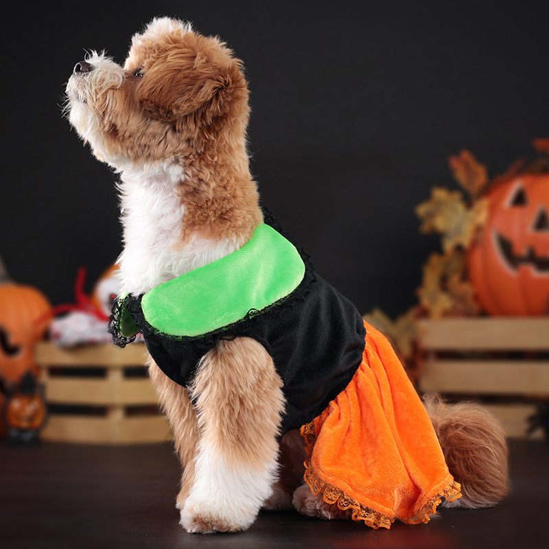 Nueva falda casual para perros con solapa de calabaza de Halloween