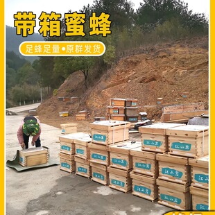 ���A�۷�Ⱥ���䎧������Ƣ�����ȫ�ײ�ݮ�����ڷ۷䯟���