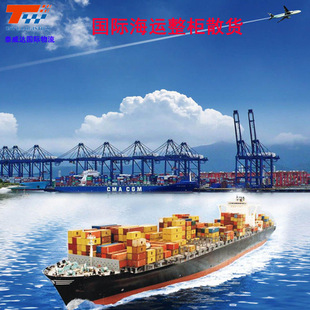 国际海运整柜散货拼箱美国加拿大亚马逊双清含税到门欧洲海派专线-阿里巴巴