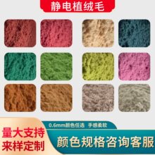 0.6NX�o�ֲ�q����ë�������q��ֲ�q�C�që���w�Sֲ�që