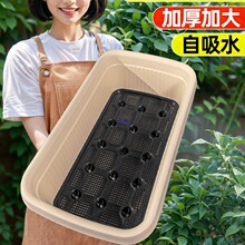 �N��������ˮ�����̨�N����Ӵ�Ӻ��߲��L�������ϷNֲ����