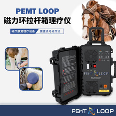 PEMF磁気治療リハビリ設備磁気リング修復運動損傷磁気リング衝撃波除去腫れ痛