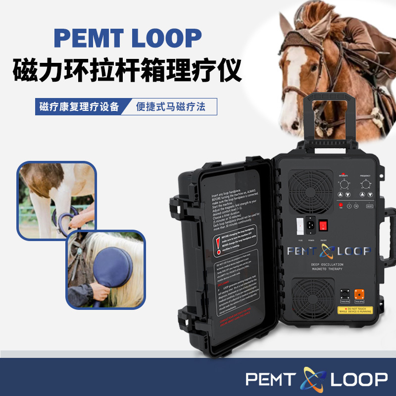 PEMF磁気治療リハビリ設備磁気リング修復運動損傷磁気リング衝撃波除去腫れ痛|undefined