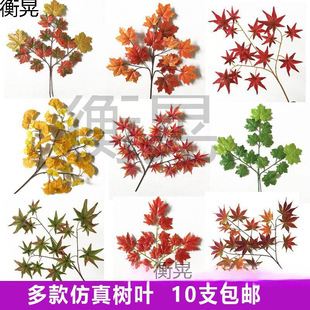 ����t���~�@�ֹ����b���ͩ���~�ә����y���~�＾��֦��ɽ���~