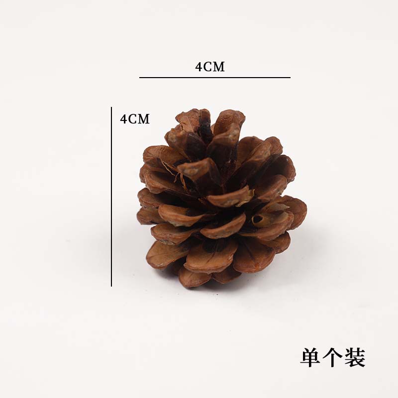 3-4cm (국산 솔방울); SKU 참조