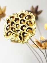 ���ĶU���bɻ� ���ѽ�ɫ��ɏ��ɏź��ɻ� ���~����[�Ż�