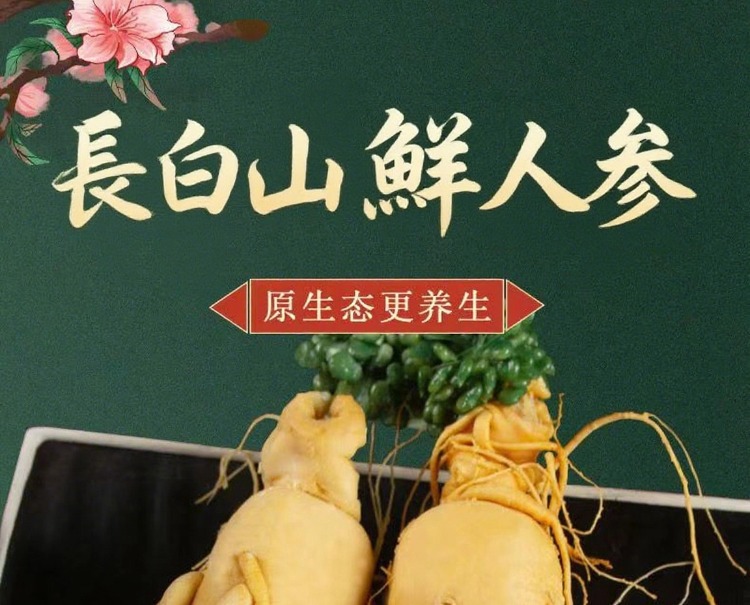 Fresh Northeast Ginseng Root Vacuum Packed Changbai Mountain Ginseng for Wine Soaking 20g overview