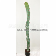 쾰ͼؔ[WtinsLGֲ辰