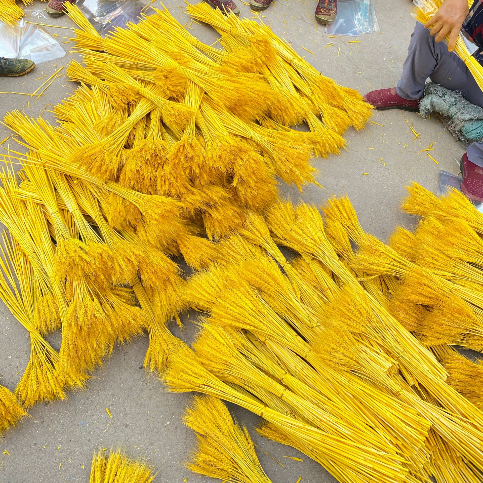 微信图片_20220323151129