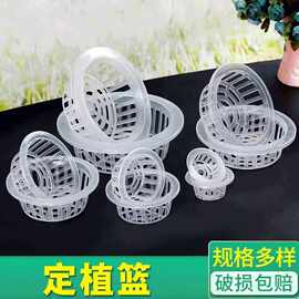 定植篮花盆水培植物玻璃花瓶绿萝无土栽培花卉浅型固根器一件批发