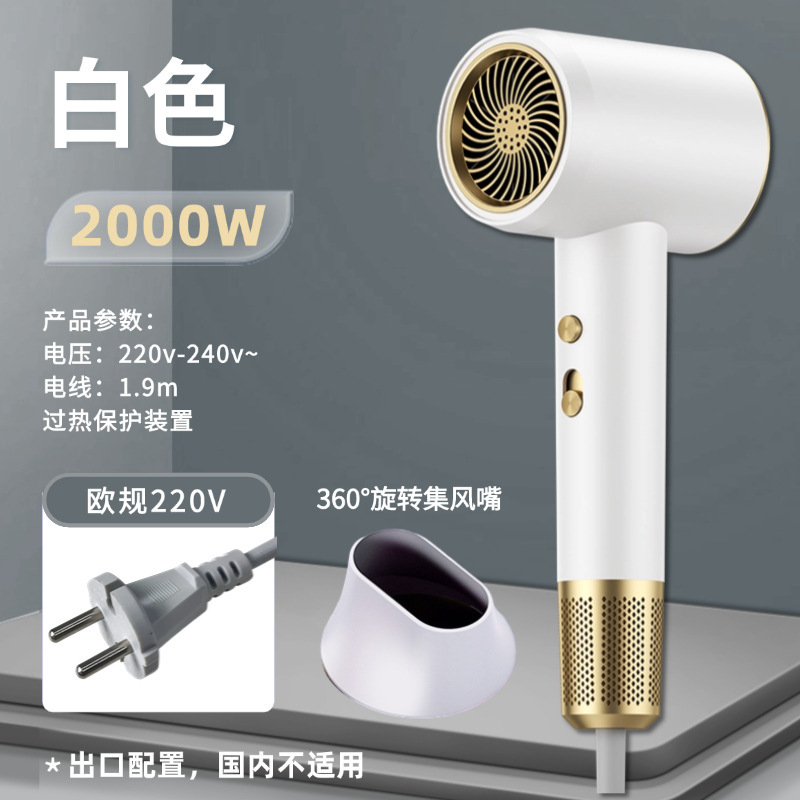 ヘアサロン ヘアドライヤー 家庭用 ハイパワー 理髪店 マイナスイオン ヘアケア ヘアドライヤー 工場直販 ネットセレブ クロスボーダー|undefined