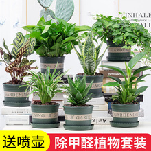 �G�jֲ���҃�����ȩ�����J�C�G�}���m��Ƥ�m�����كȃ����՚⻨��