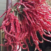 2025农家特香辣贵州特产皱皮辣椒之乡二荆条干辣椒批发皱皮干辣子