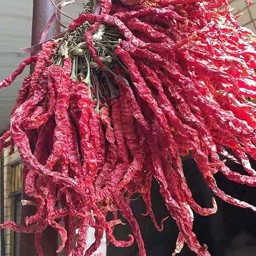 2025农家特香辣贵州特产皱皮辣椒之乡二荆条干辣椒批发皱皮干辣子