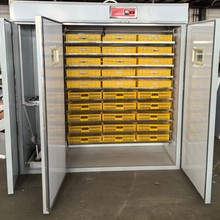 孵化机全自动家用小型小鸡孵化箱大型孵化器双室孵蛋机智能孵蛋器