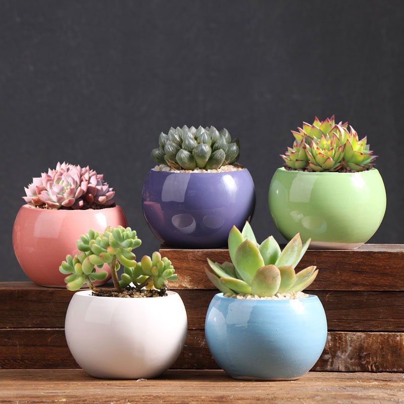 Colorido pequeña bola suculenta maceta balcón hogar carne planta cerámica especial arcilla pequeña olla fábrica directa al por mayor