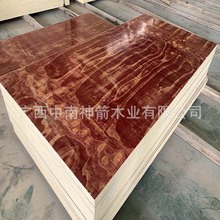 BľģtģSlߴ׼ʹ6-12β