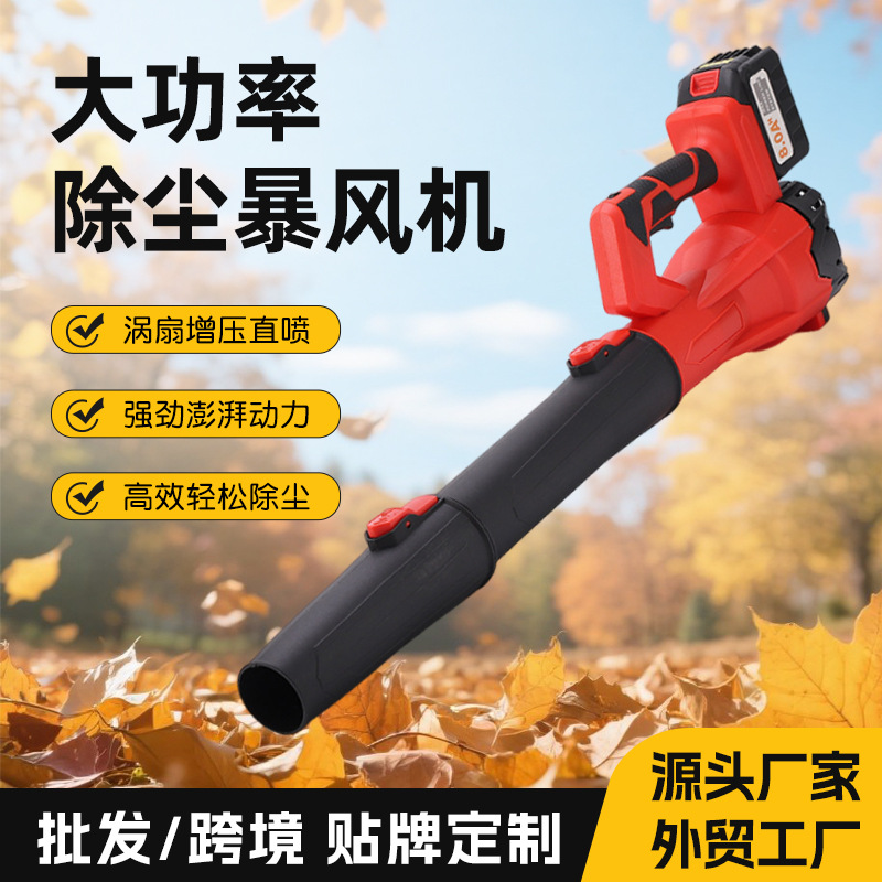 Zhenhua Portable Hair Dryer Violent Turbine Fan Snow Blowing Tool High Wind Lithium Battery Blower