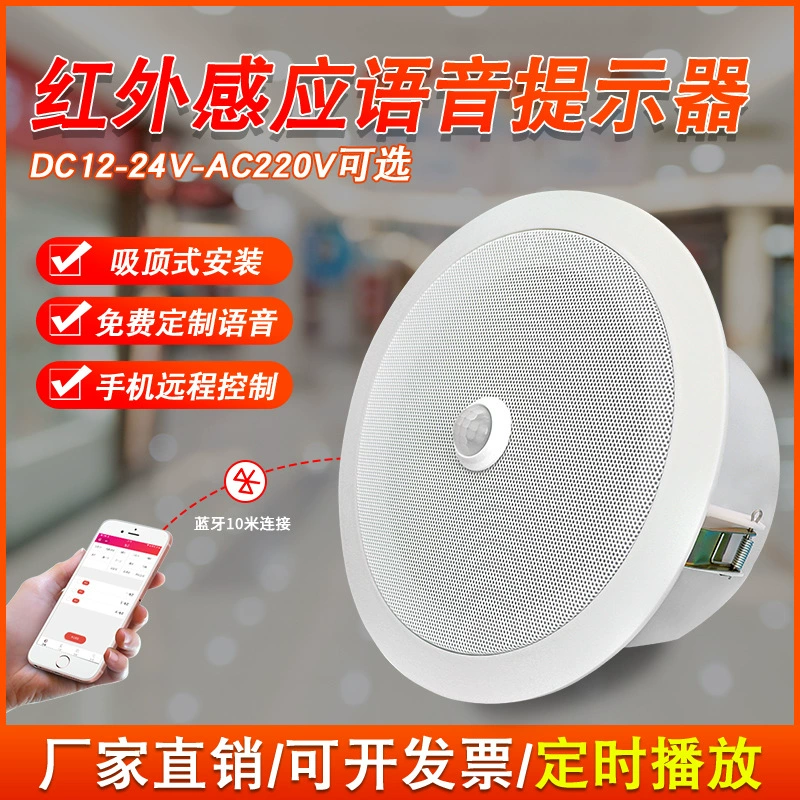 Потолочный голосовой помощник, динамик с таймером, торговый центр, супермаркет, туалет в метро, голосовой анонсатор с инфракрасным датчиком