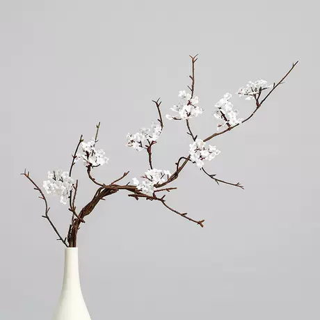 Small floral branch White